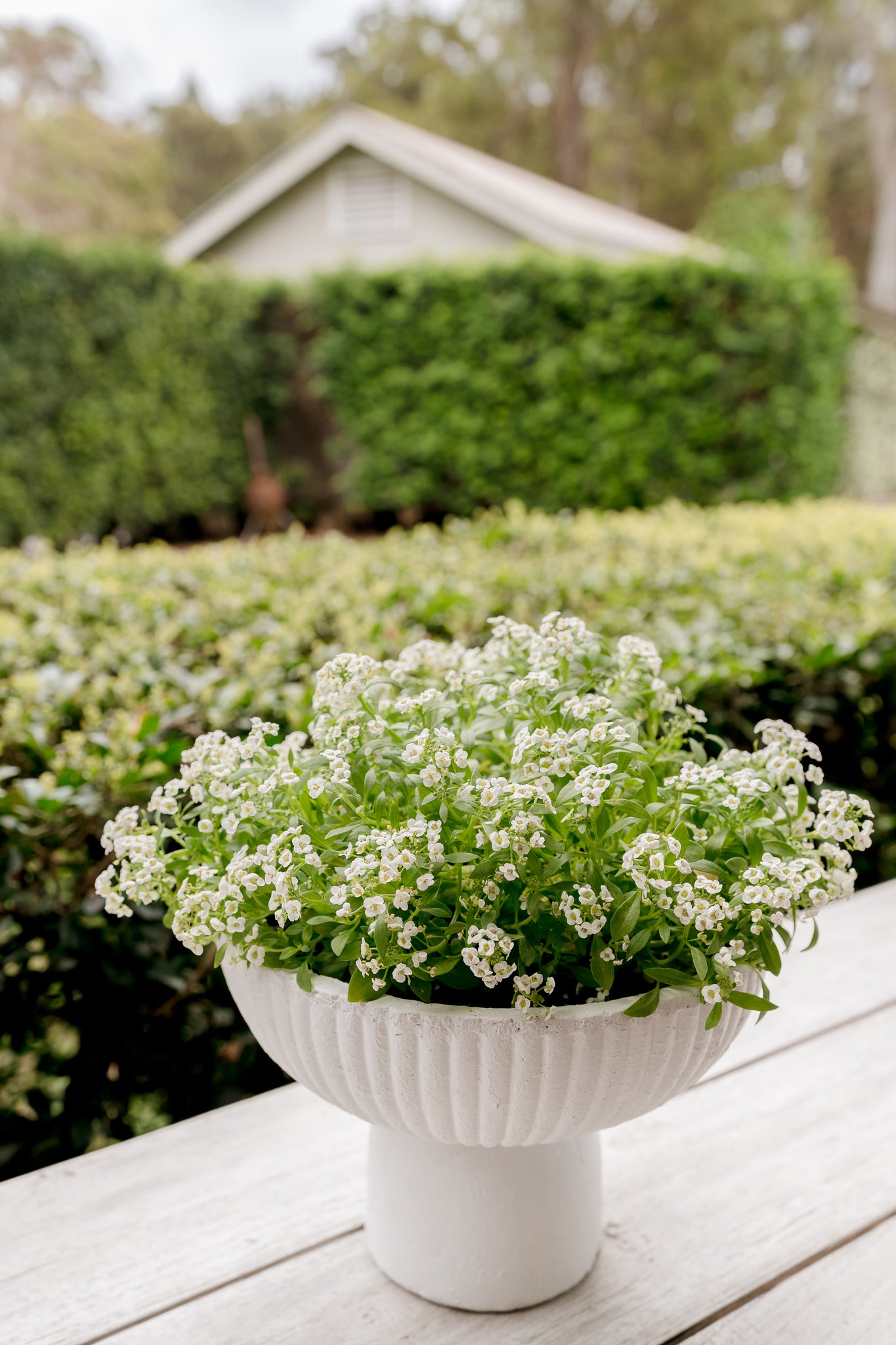 Small Candle Bowl - Garden Path
